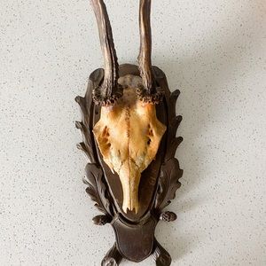 Antique Deer skull on a plaque